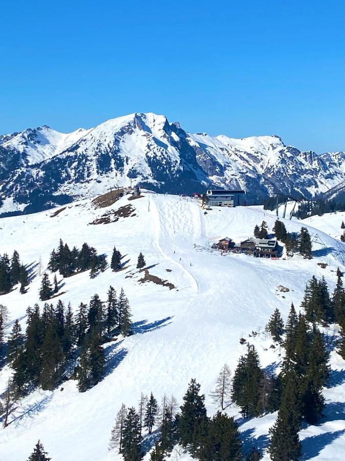 Apartment 3 Tannen Russbach am Pass Gschütt Dış mekan fotoğraf
